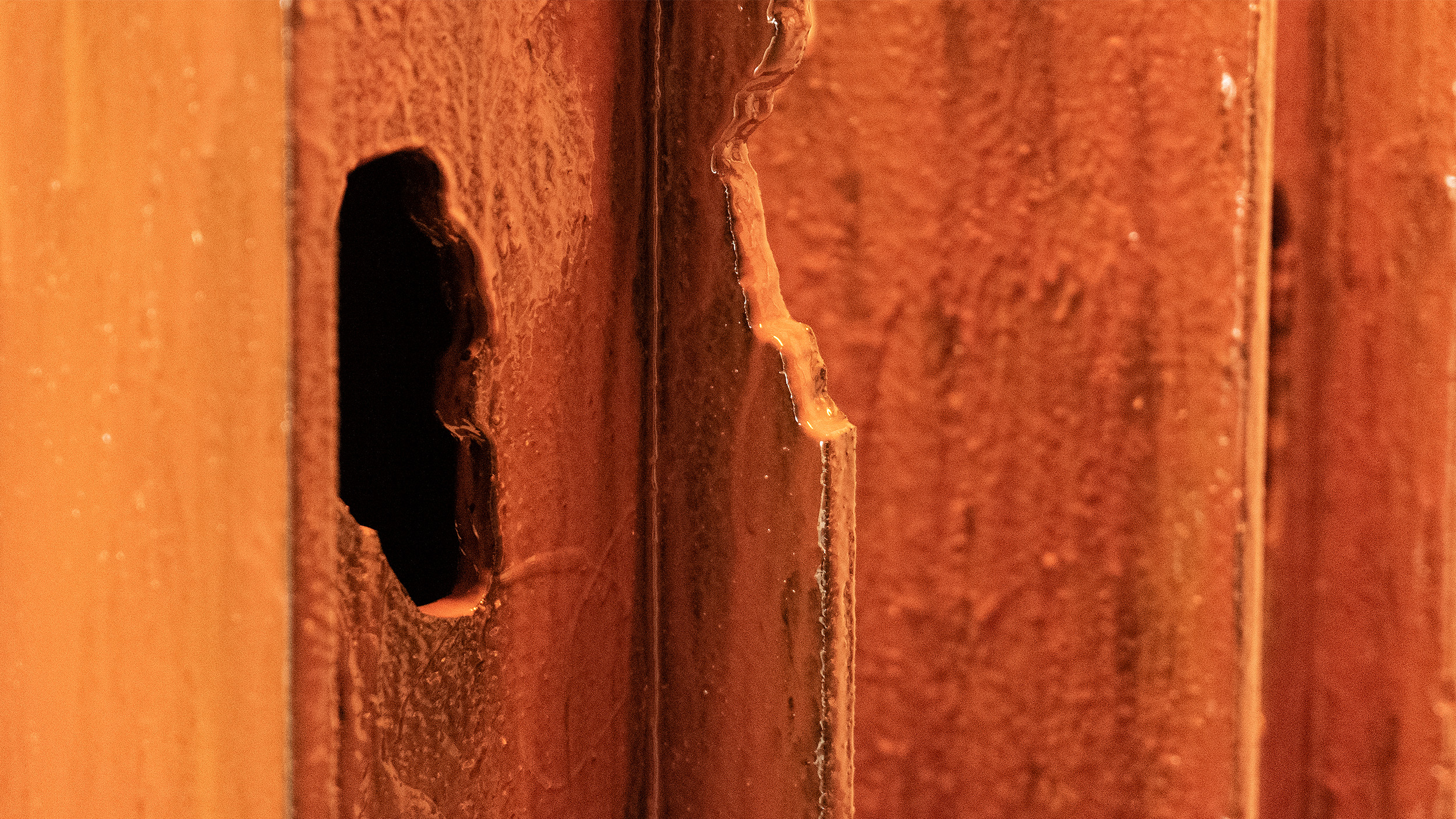 Detail of "Transplant 2", Photo by Fragmentin